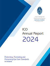 Download the Annual Report 2024
