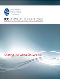 Download the Annual Report 2020