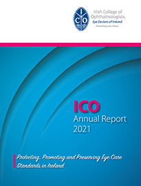 Download the Annual Report 2021